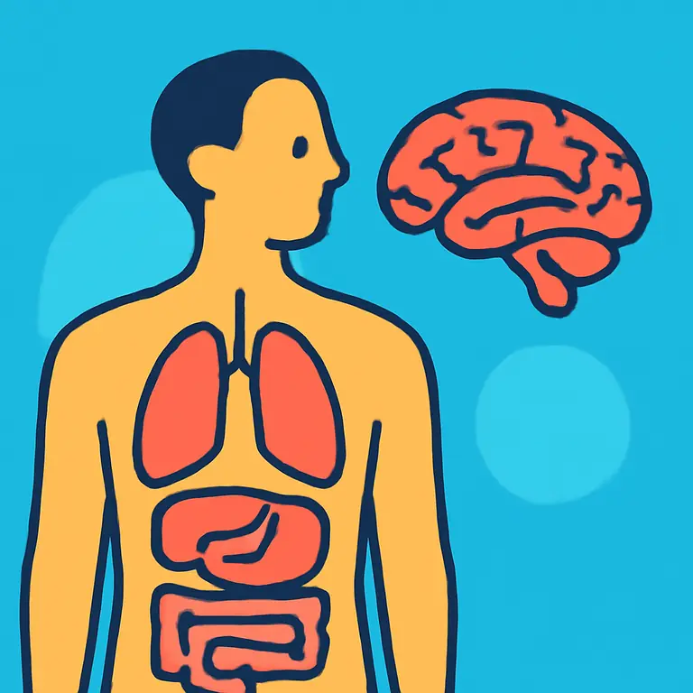 Human Body and More - puzzle cover