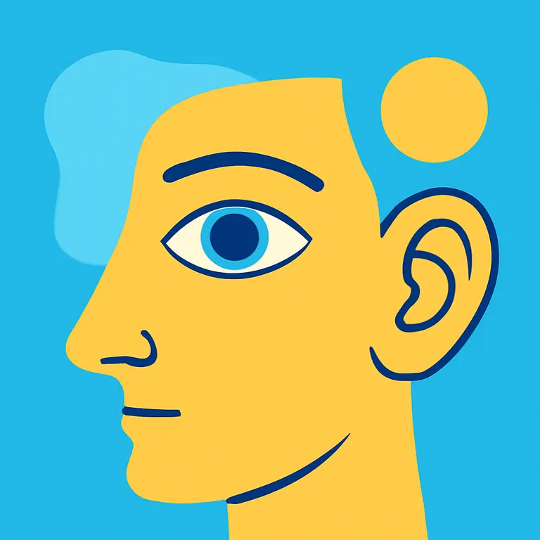 Body Parts and Features - puzzle cover