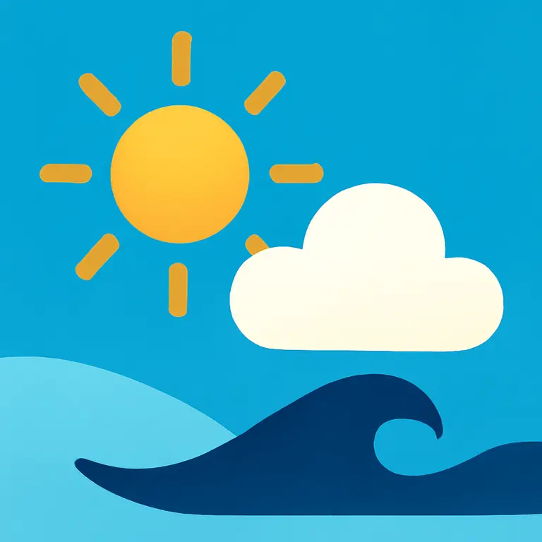 Fenómenos y estados - portada del puzzle