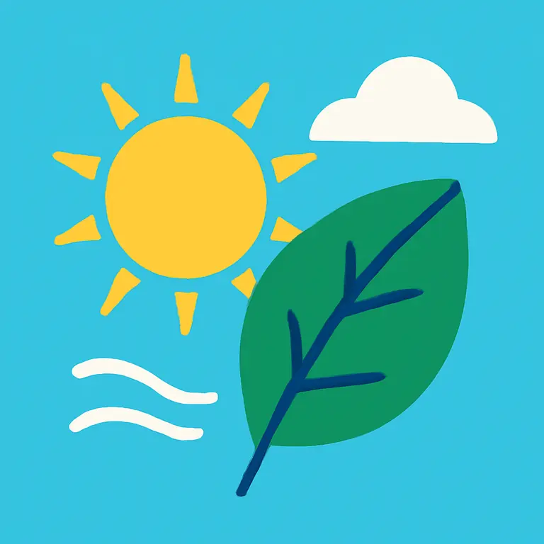 Clima y Naturaleza - portada del puzzle