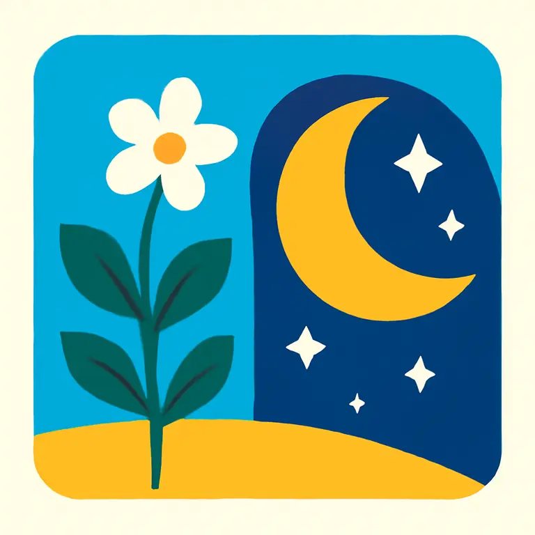 Naturaleza y astros - portada del puzzle