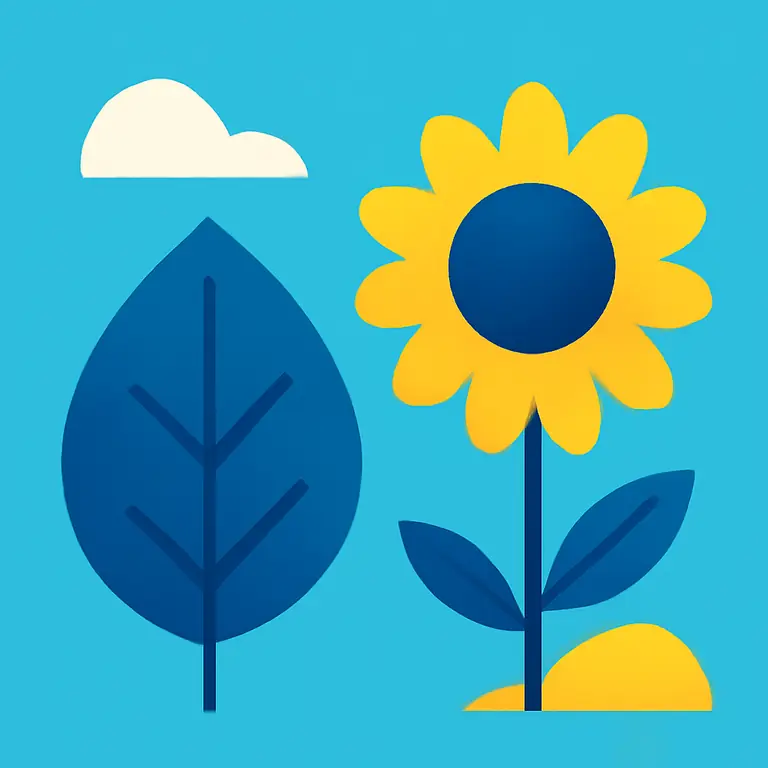 Вещи и природа вокруг - обложка пазла