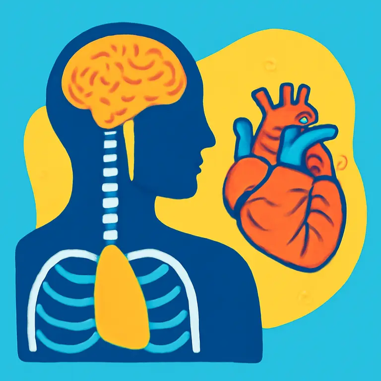 Анатомия и физиология человека - обложка пазла