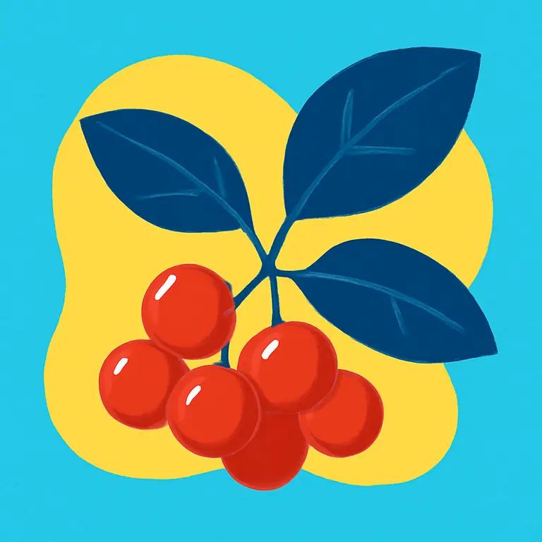 Птичья Ягода - обложка пазла