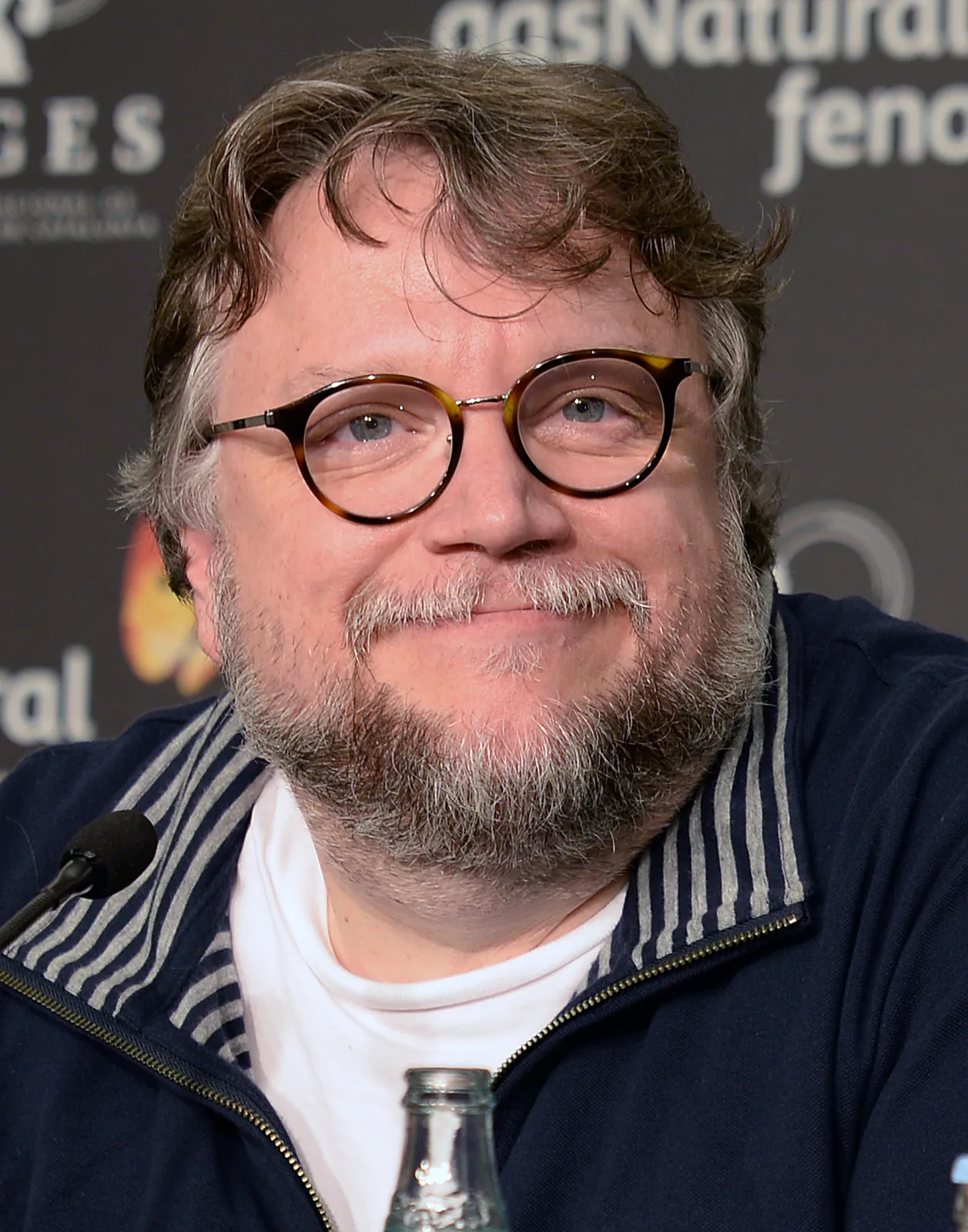 guillermo del toro in 2017
